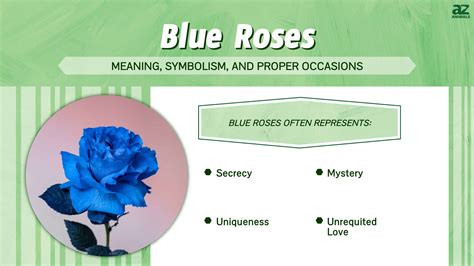 meaning behind blue roses